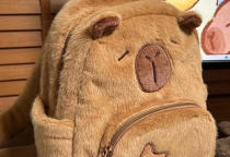Balo Capybara Là Gì? Vì Sao Nó Hot Trong Giới Trẻ?