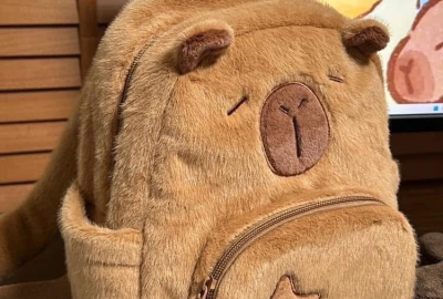 Balo Capybara Là Gì? Vì Sao Nó Hot Trong Giới Trẻ?